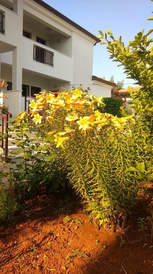 Stella Marina Appartement Umag Buitenkant foto
