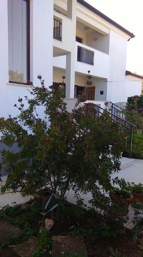 Stella Marina Appartement Umag Buitenkant foto
